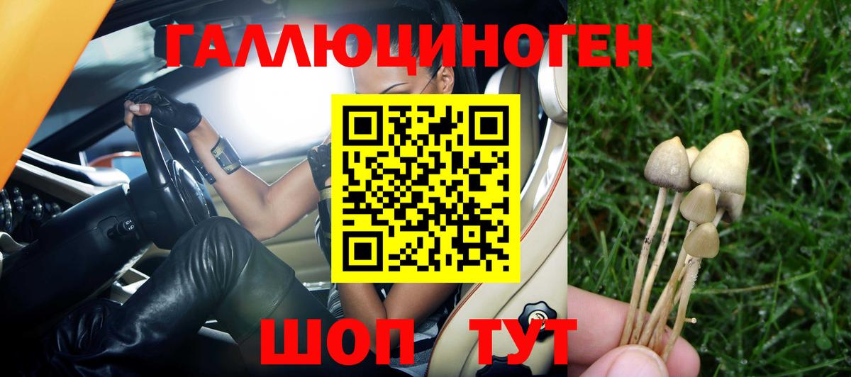 Псилоцибиновые грибы прущие грибы Тихвин