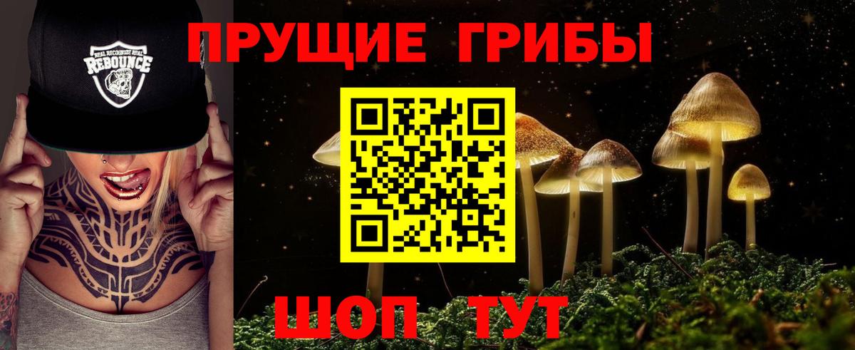 Псилоцибиновые грибы Psilocybine cubensis  Вход с VPN  Псилоцибиновые грибы Psilocybe  Тихвин 